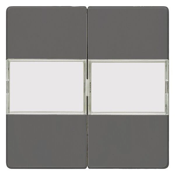 Siemens 5TG6232 Wippe 2-fach, Mit Schriftfeld