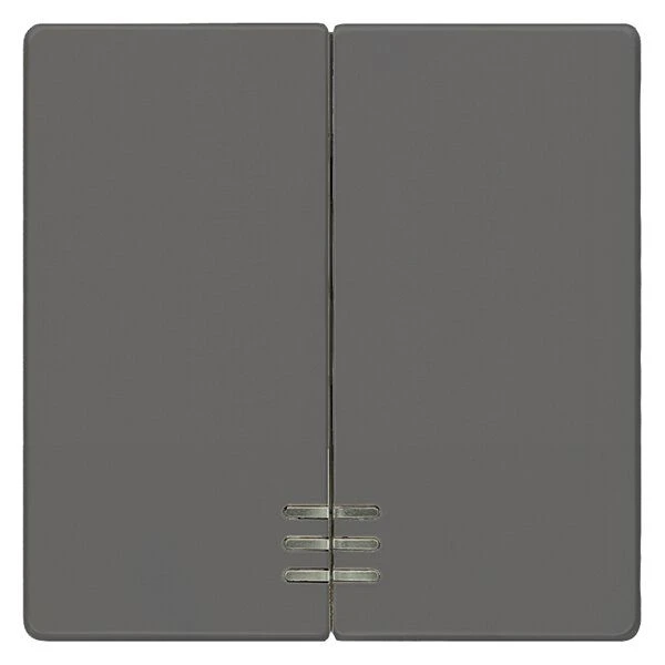 Siemens 5TG6224 Wippe 2-fach Mit Fenster