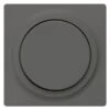 Siemens 5TC8903 Dimmer-Abdeckplatte Mit Drehknopf